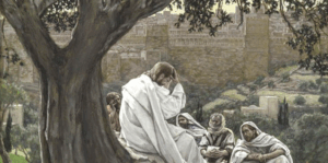 Read more about the article 33. nedelja med letom 2025