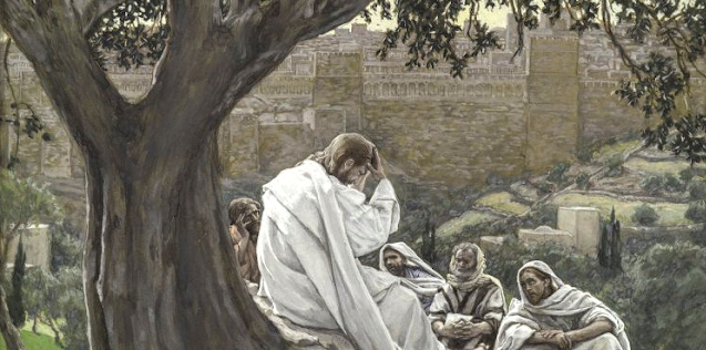 Read more about the article 33. nedelja med letom 2025