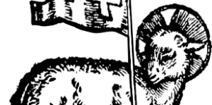 Read more about the article 2. nedelja med letom 2026