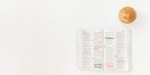 Read more about the article [Glasilo] Pepelnica 2026